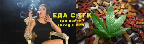 молекула духа Вяземский