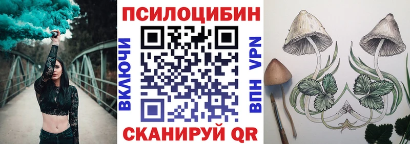 гидра зеркало купить Невьянск Псилоцибиновые грибы MAGIC MUSHROOMS